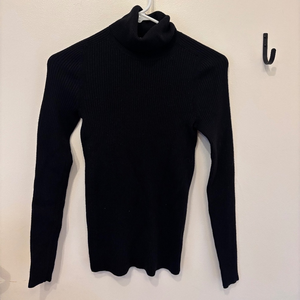 Everlane Turtleneck